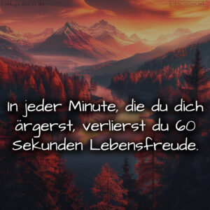 1716374899664dcd73de3c8