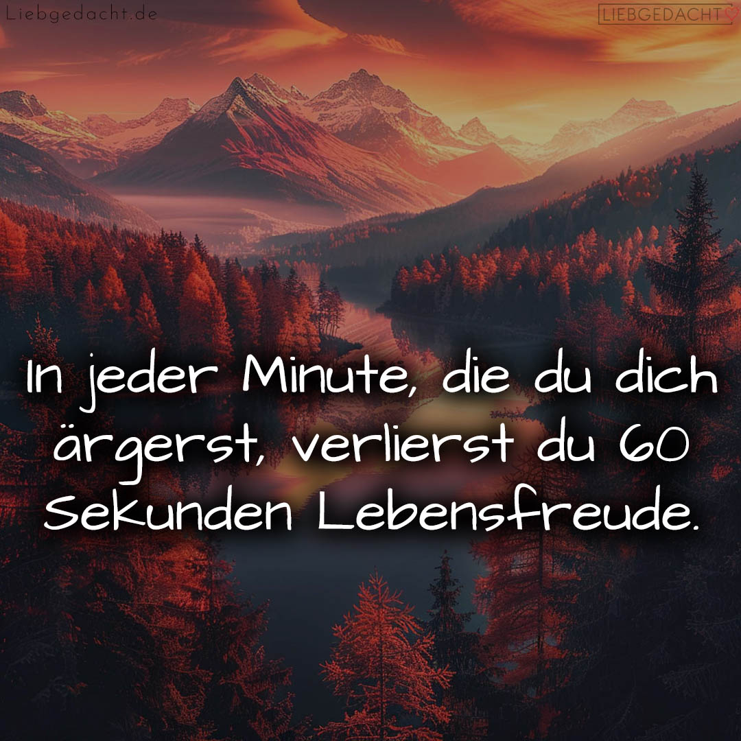 1716374899664dcd73de3c8