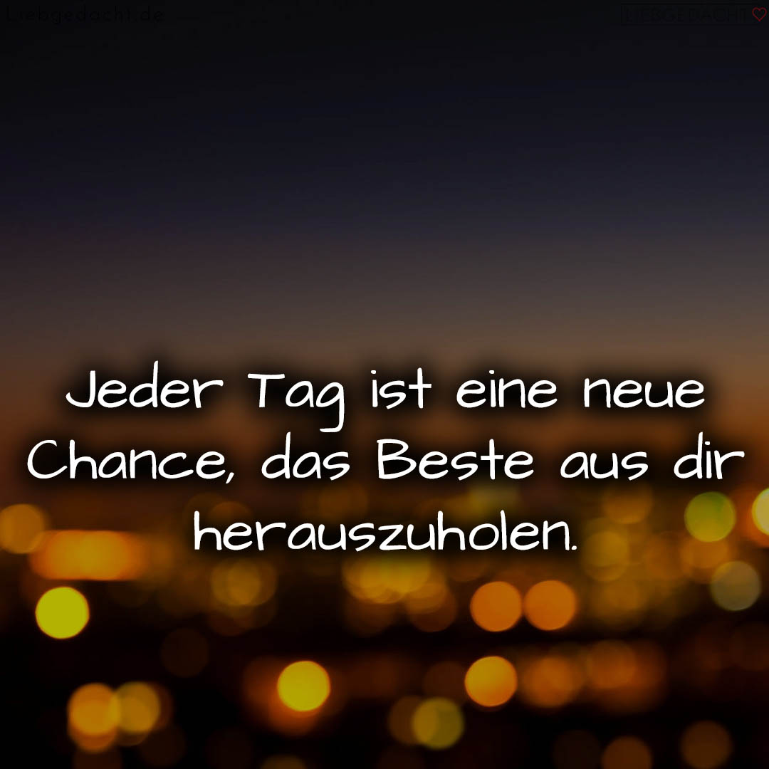 1716374916664dcd8463448