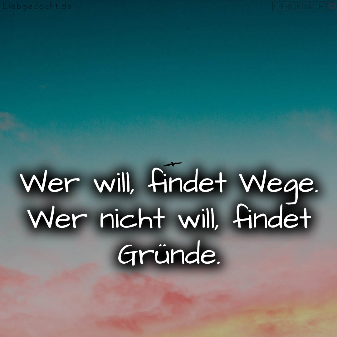 1716374938664dcd9a44bce