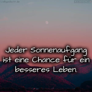 1716374957664dcdaddffe9