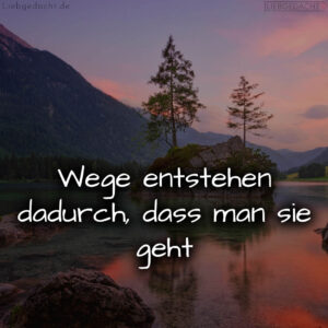 1716374960664dcdb0262f8