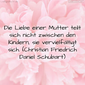 1716375186664dce92a73a1