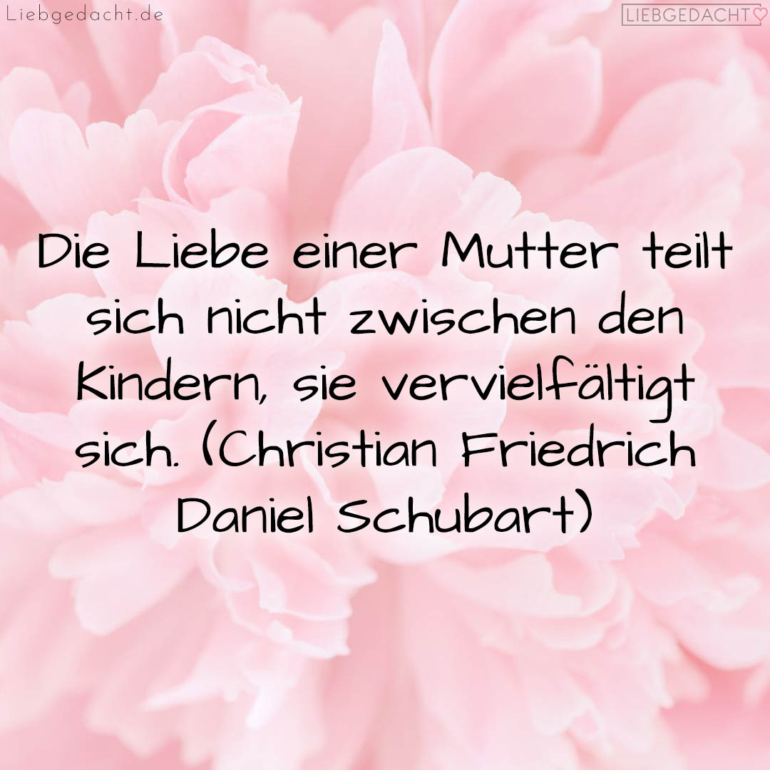 1716375186664dce92a73a1