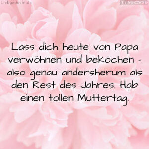 1716375205664dcea530c59