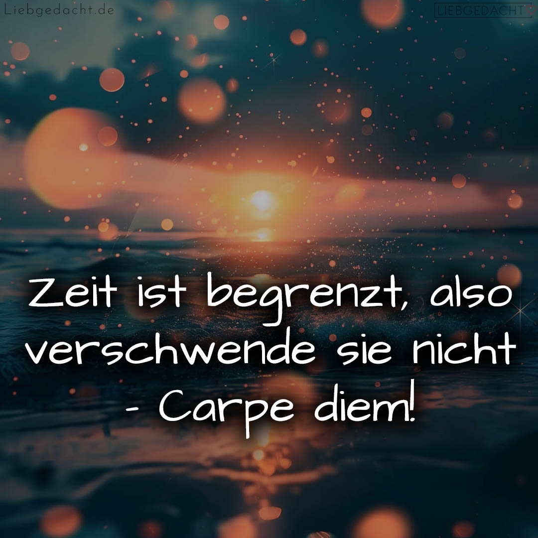 1716375281664dcef1bbac5