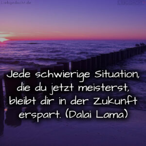 1716375316664dcf14b0901