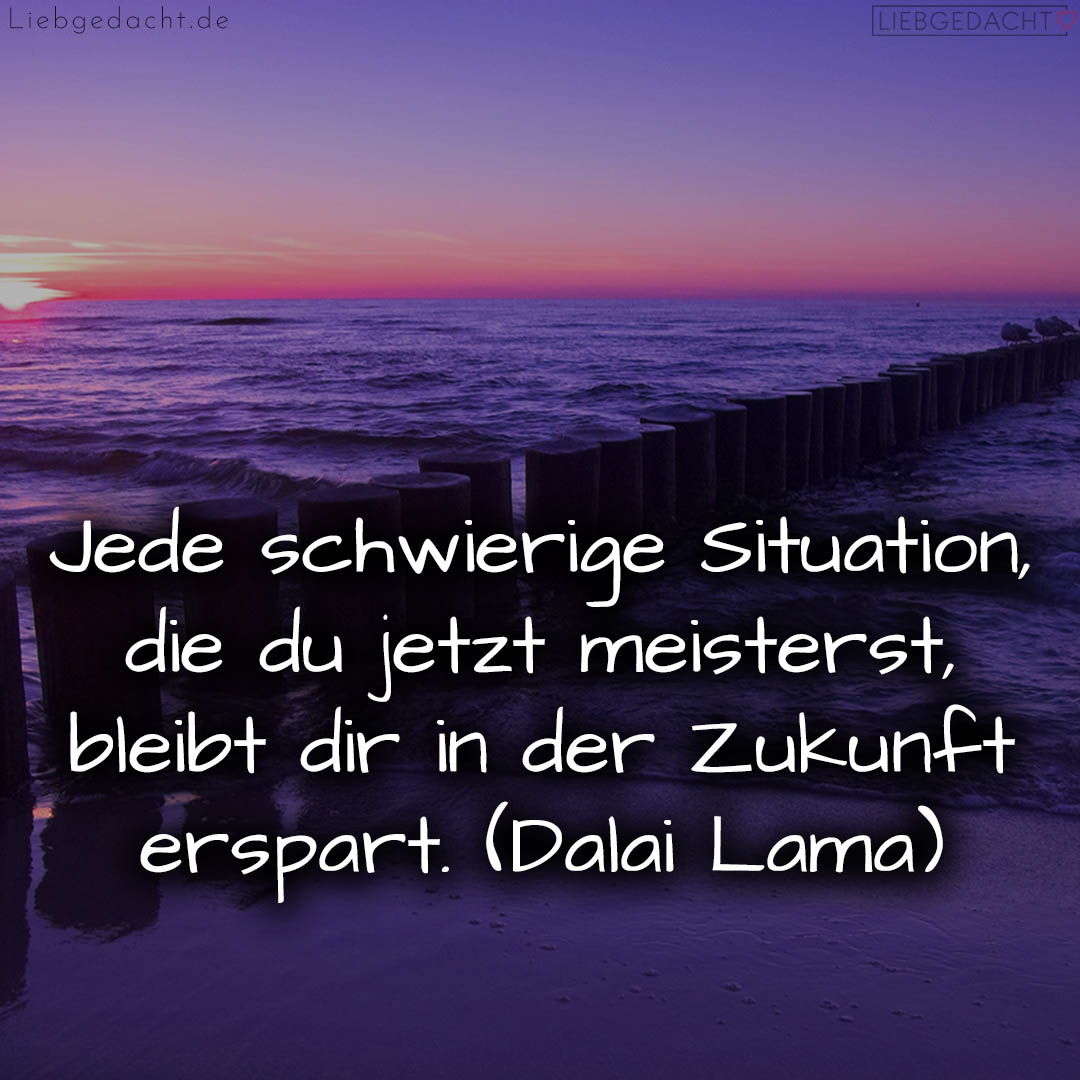 1716375316664dcf14b0901