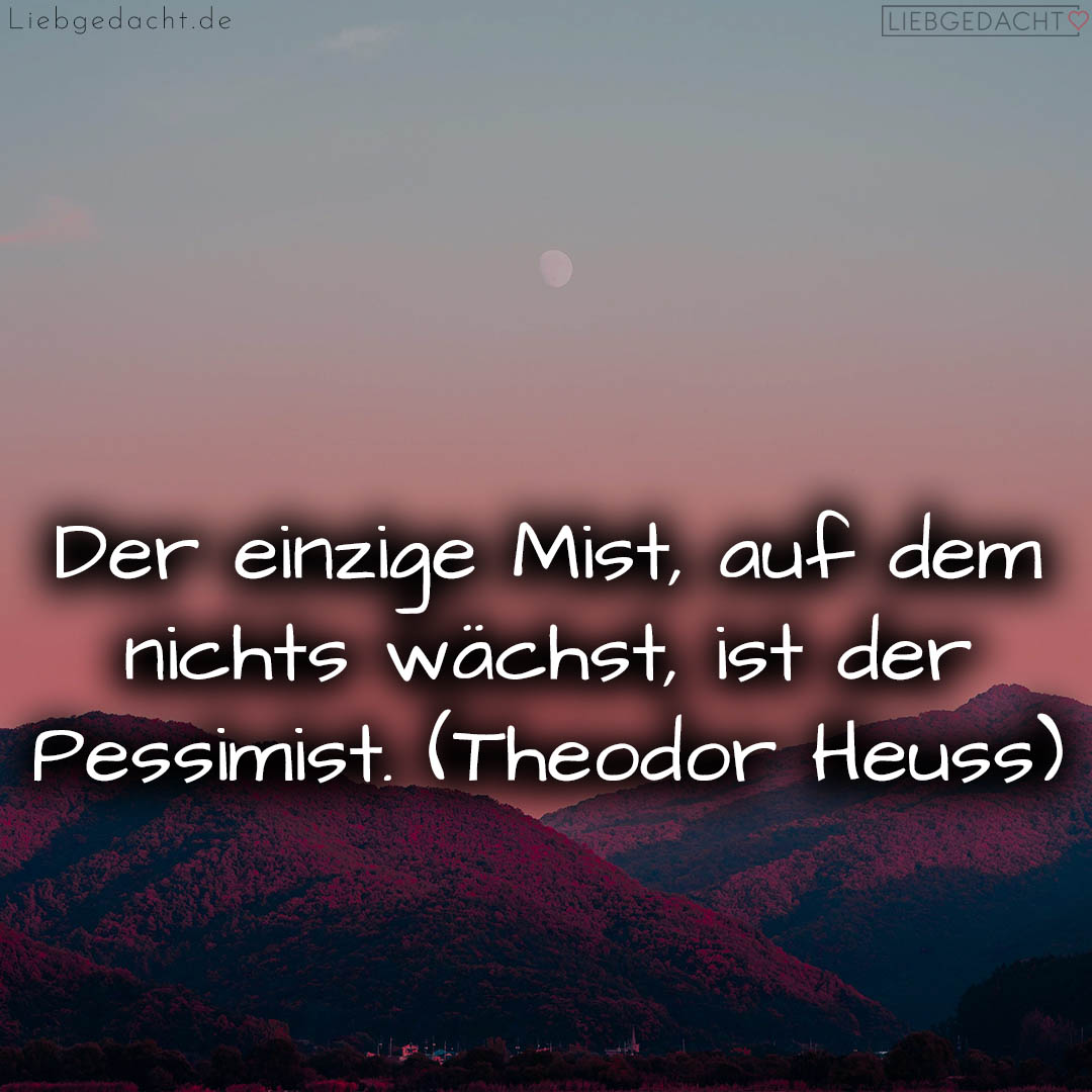 1716375346664dcf329bd2c