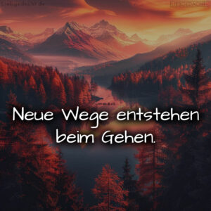 1716375353664dcf39ab3c7