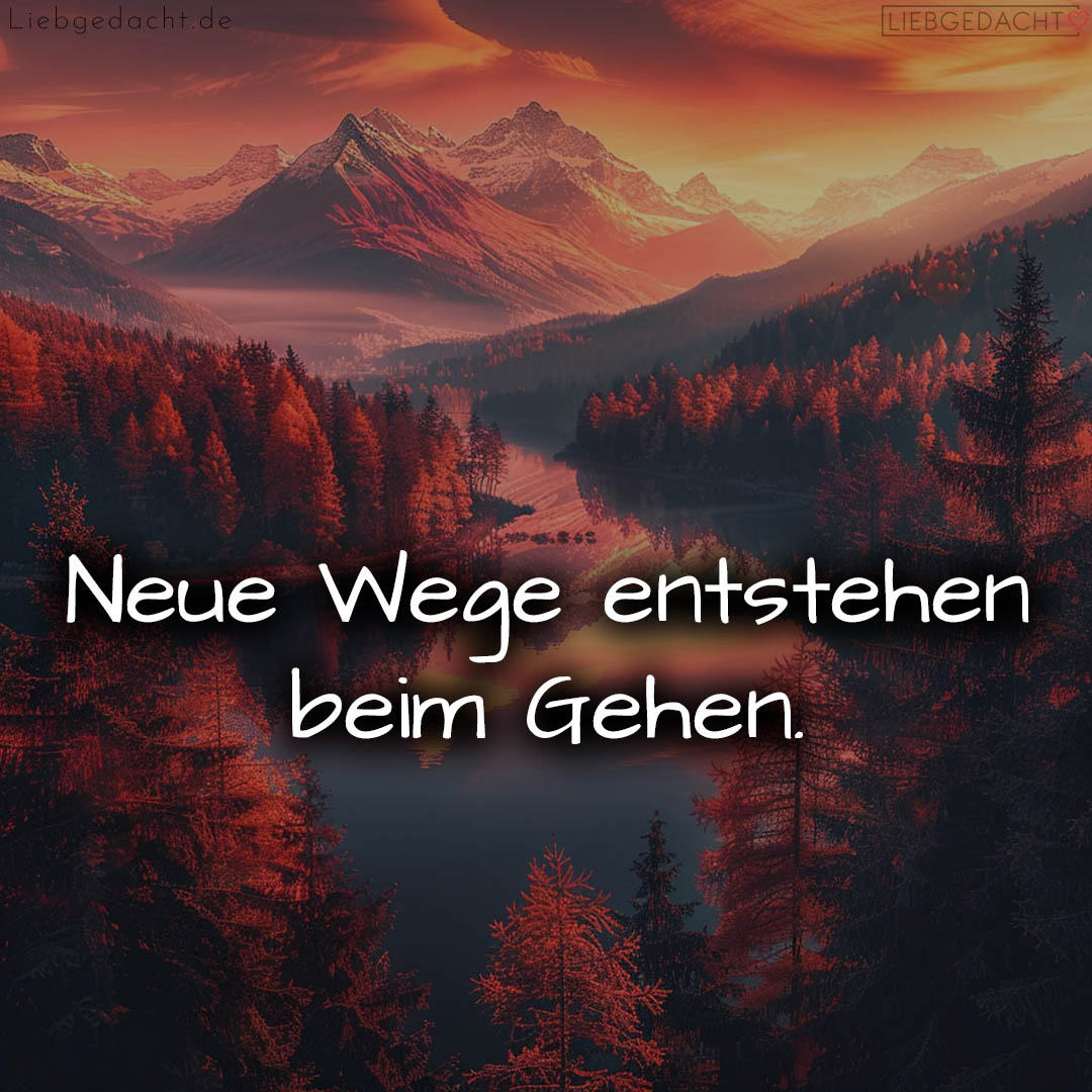 1716375353664dcf39ab3c7