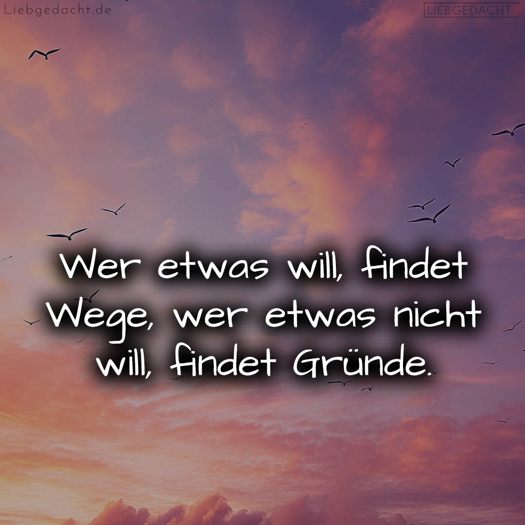 1716375358664dcf3e8677c