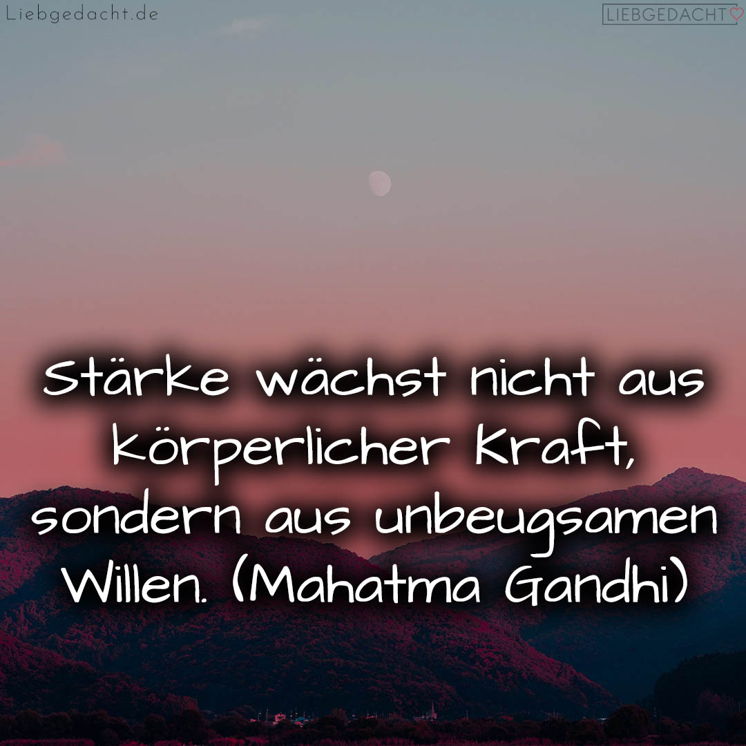 1716375374664dcf4eb05b5