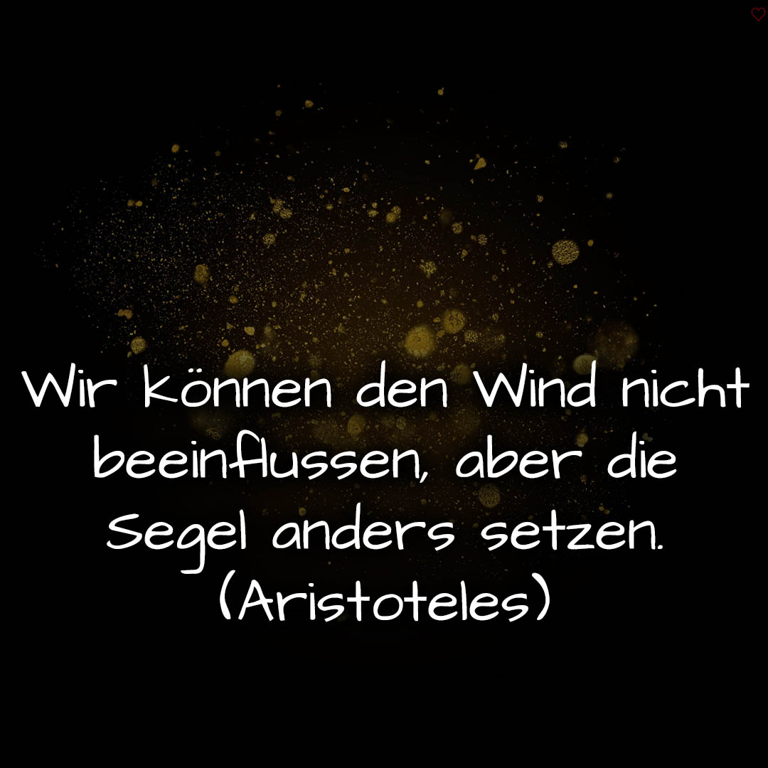 1716375381664dcf55f0cd4