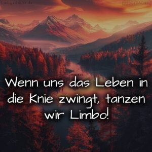 1716375429664dcf854e8e0