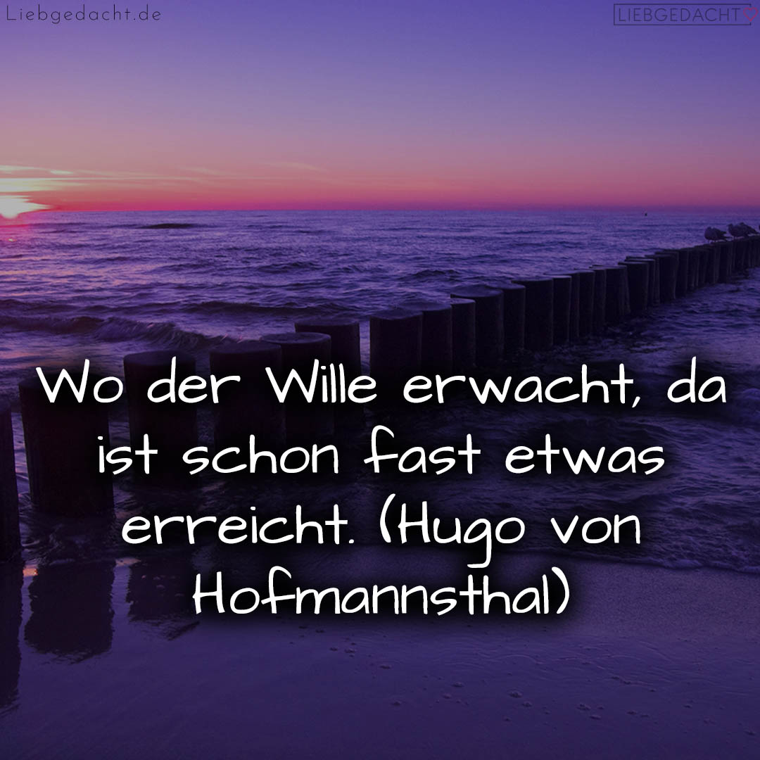 1716375445664dcf959aff6