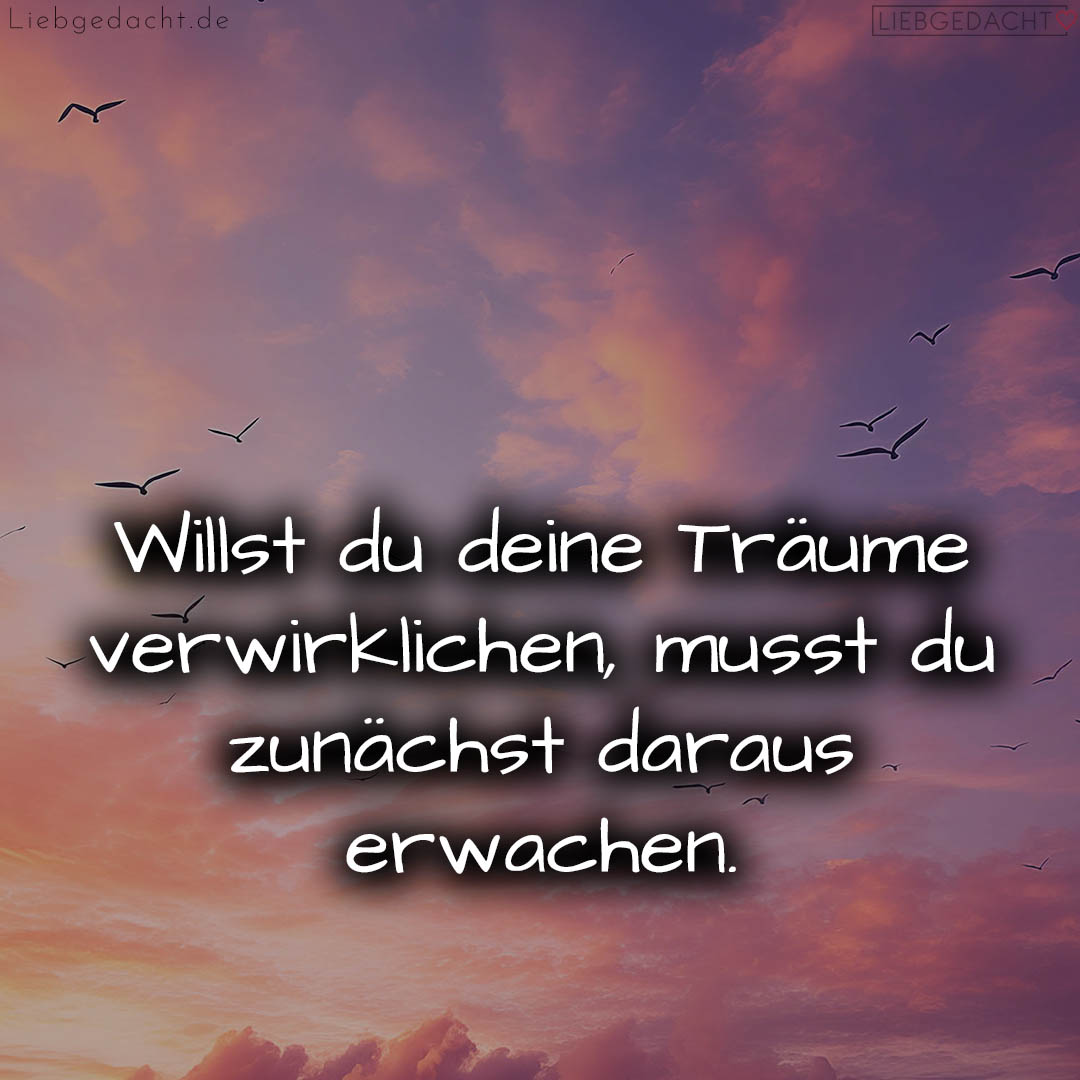 1716375447664dcf97d33b4