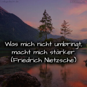 1716375467664dcfabafd38