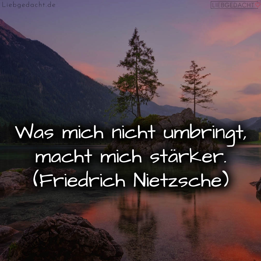 1716375467664dcfabafd38