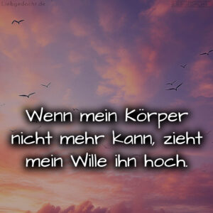 1716375480664dcfb8064aa