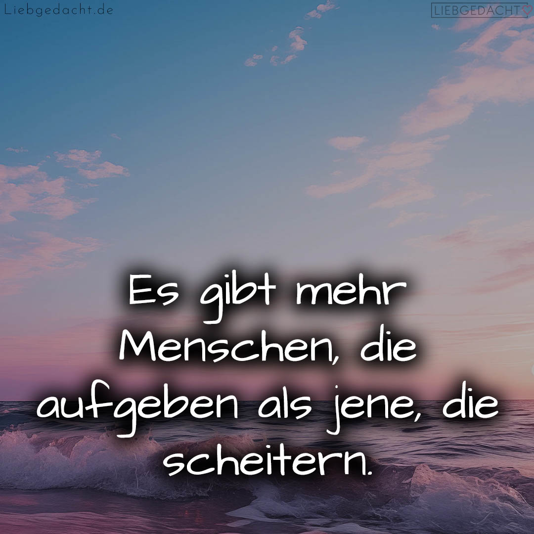 1716375495664dcfc74cdd2