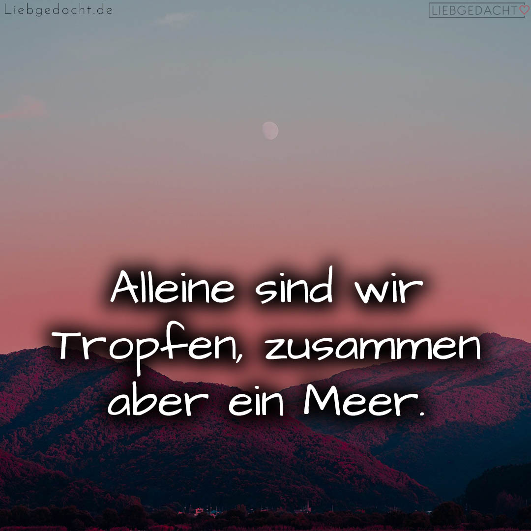 1716375497664dcfc943146