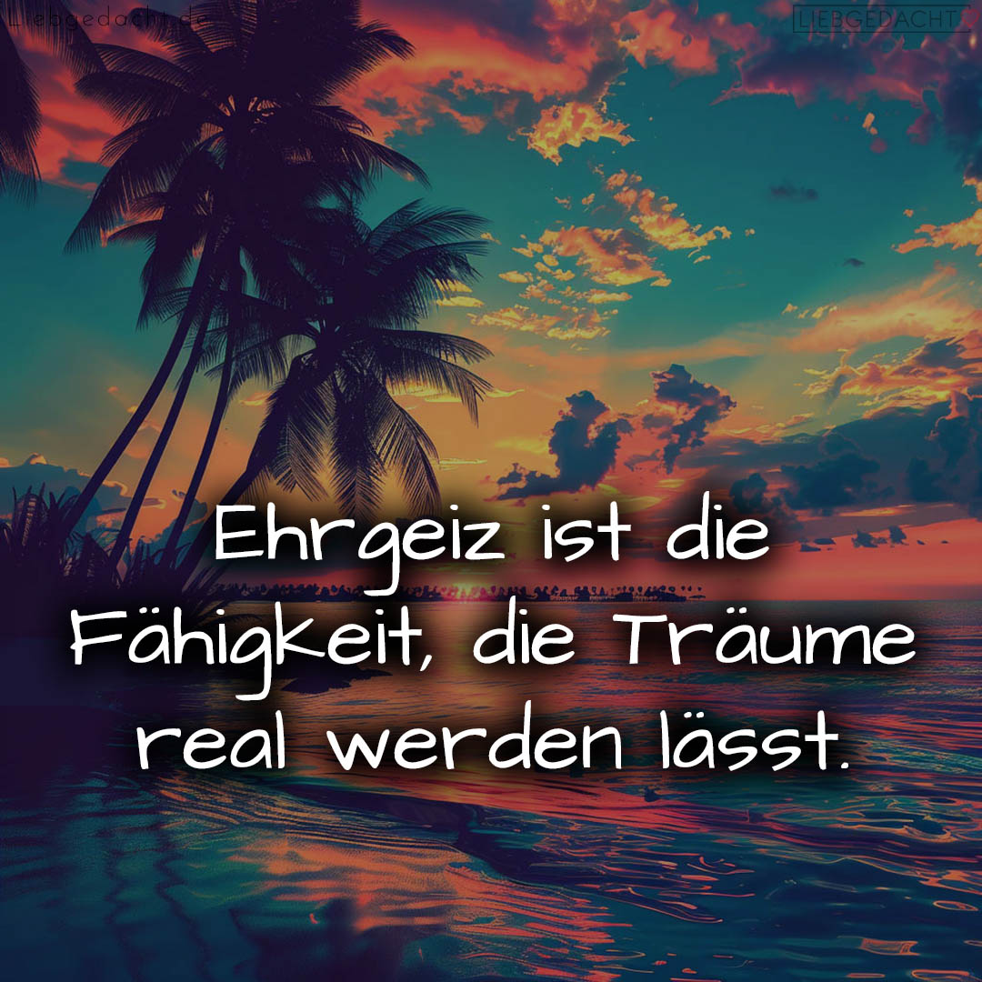 1716375536664dcff0acc10