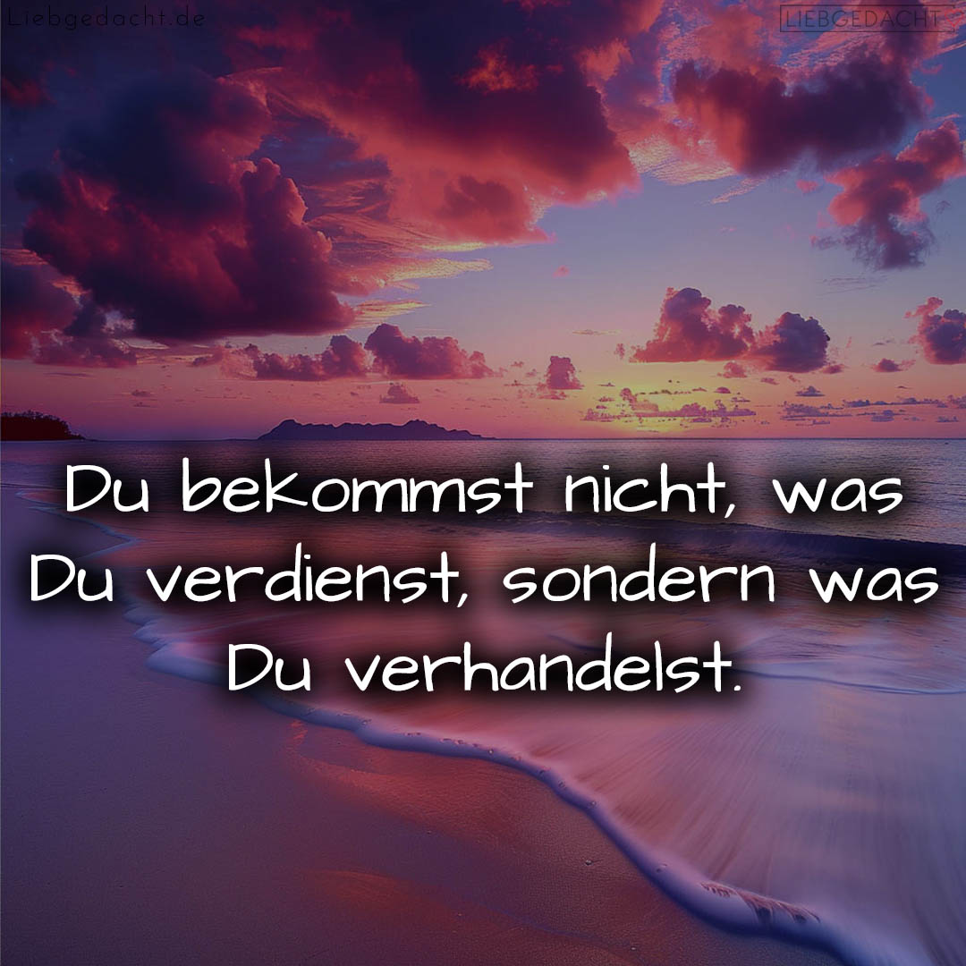 1716375555664dd003a8f5e