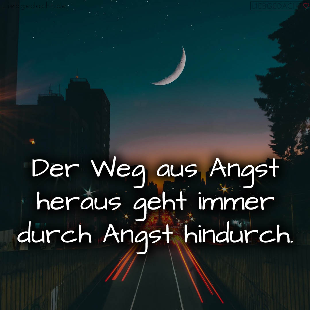 1716375558664dd0063cfc5