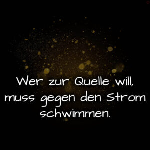 1716375560664dd0082d278