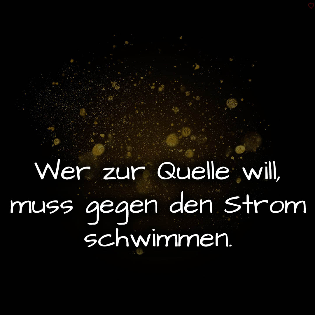 1716375560664dd0082d278