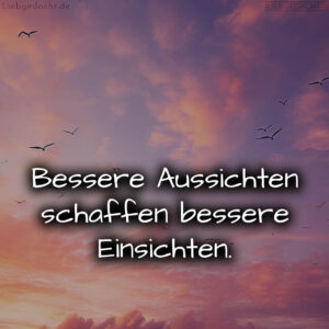 1716375562664dd00aa120b