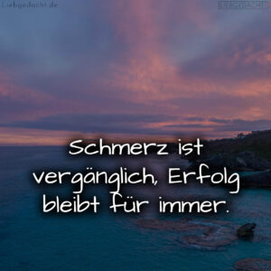 1716375578664dd01a350bb