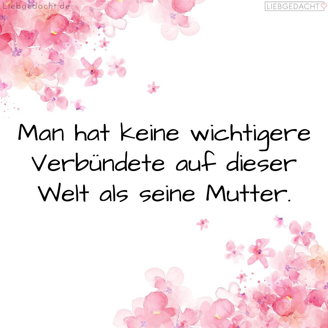 1716375586664dd0229775c