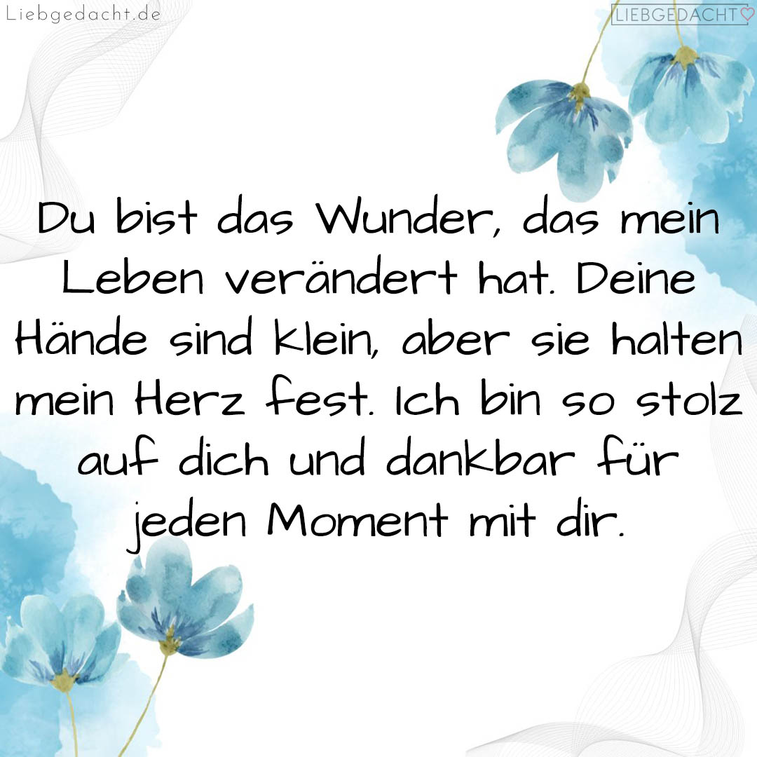 1716375631664dd04f65fe7