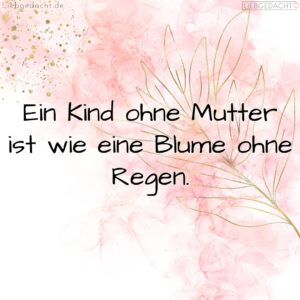 1716375767664dd0d76c3cb