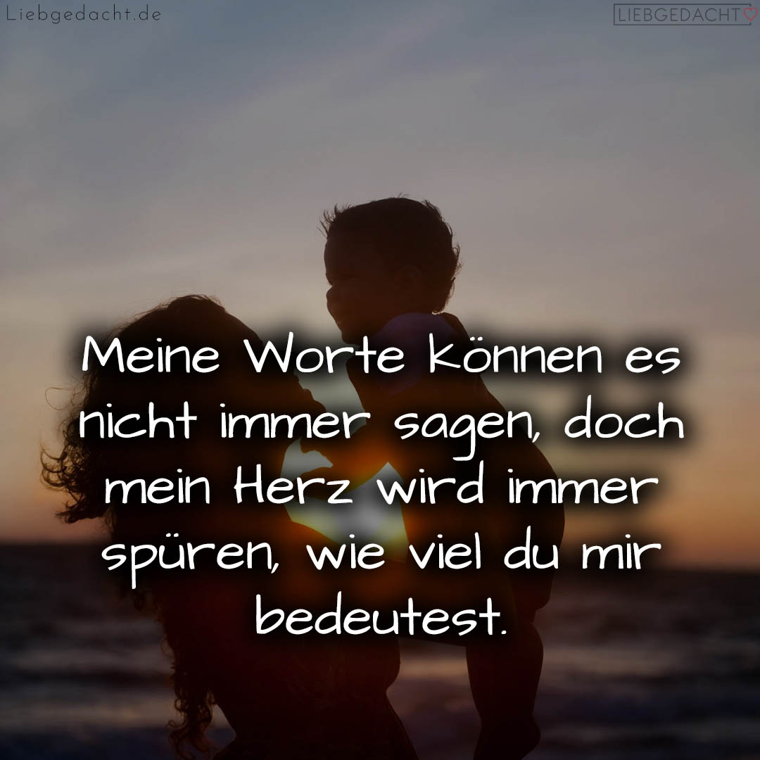 1716375775664dd0dfb3f46