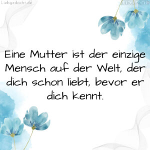 1716375778664dd0e2586d9