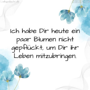 1716375787664dd0eb4dfa4