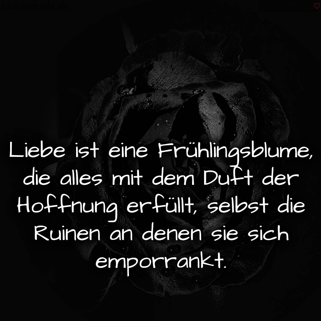 1716375836664dd11cd1d82