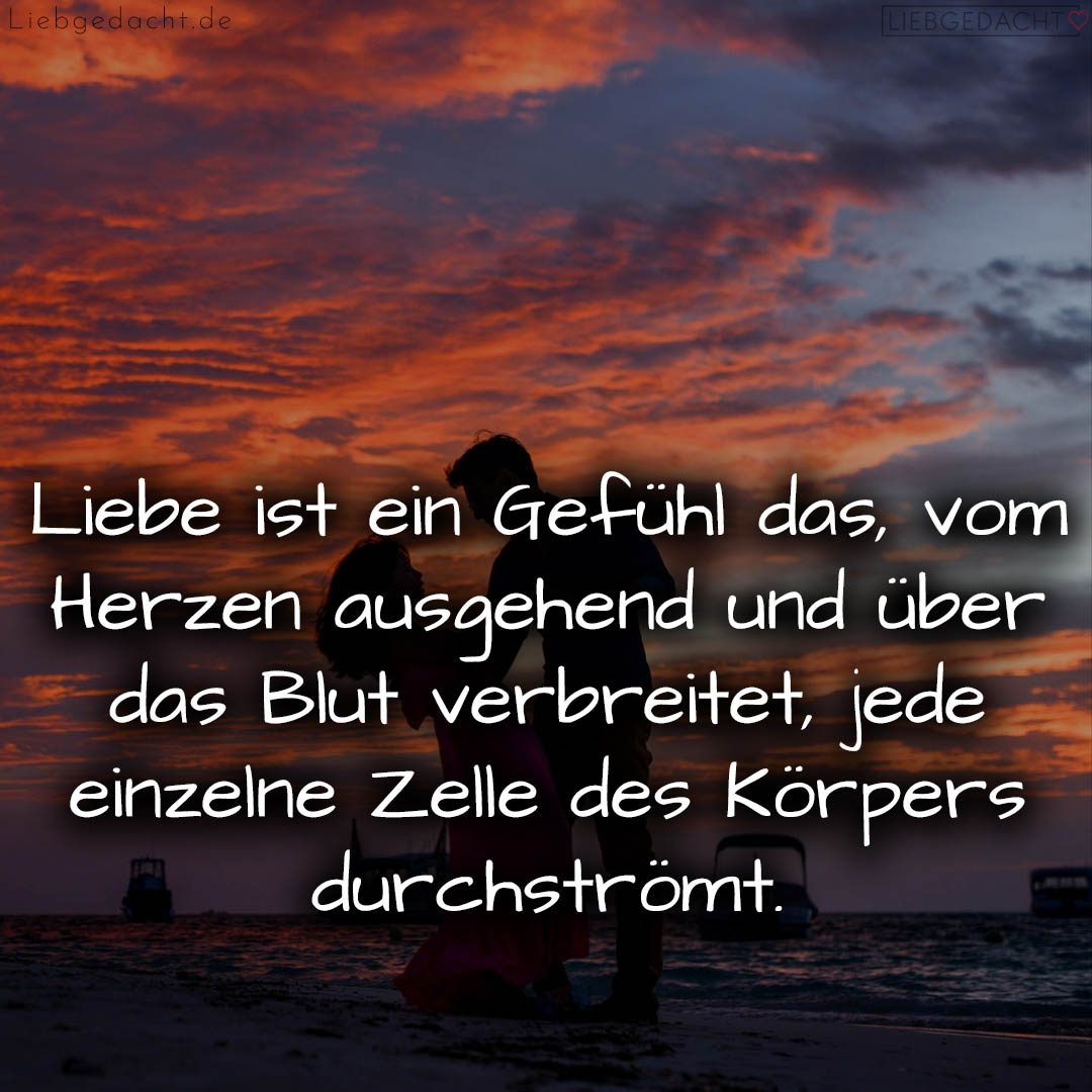 1716375844664dd1247c32d