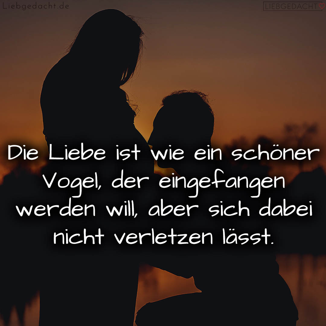 1716375861664dd1359900c