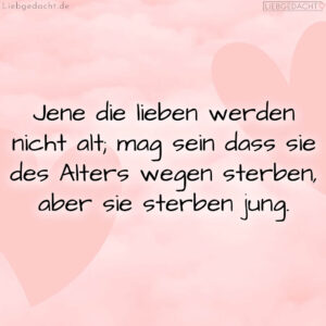 1716375867664dd13bd37b9