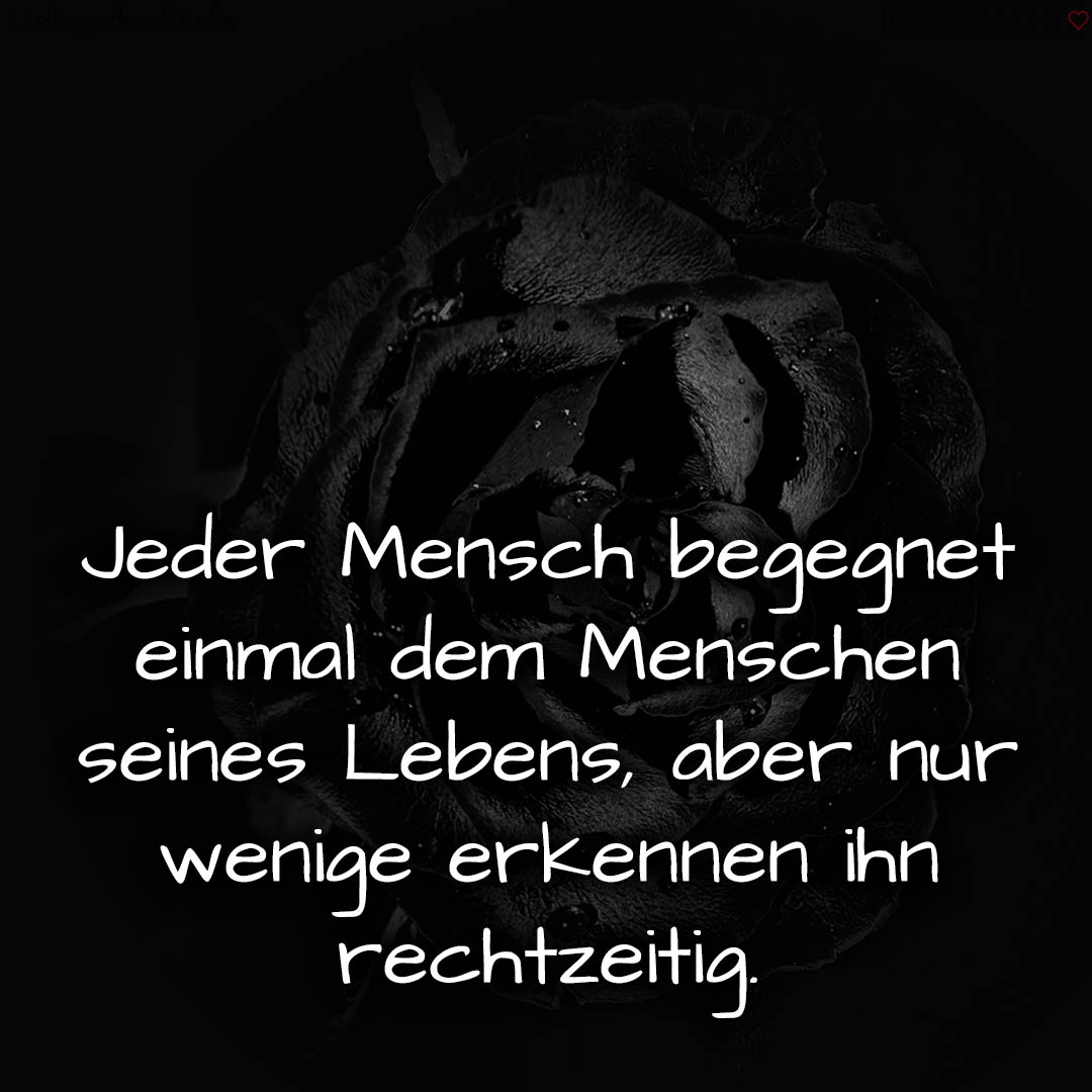 1716375869664dd13d7f50c