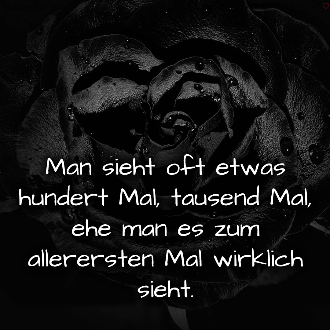 1716375884664dd14c4b5d9