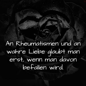 1716375912664dd168ef488