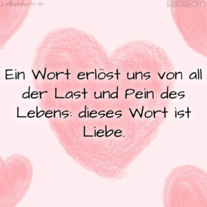 1716375919664dd16f377de