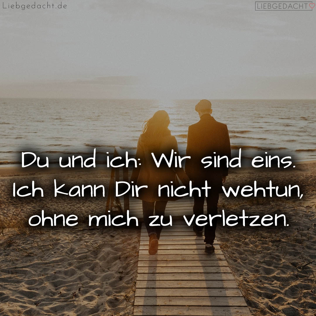 1716375931664dd17b81e0e