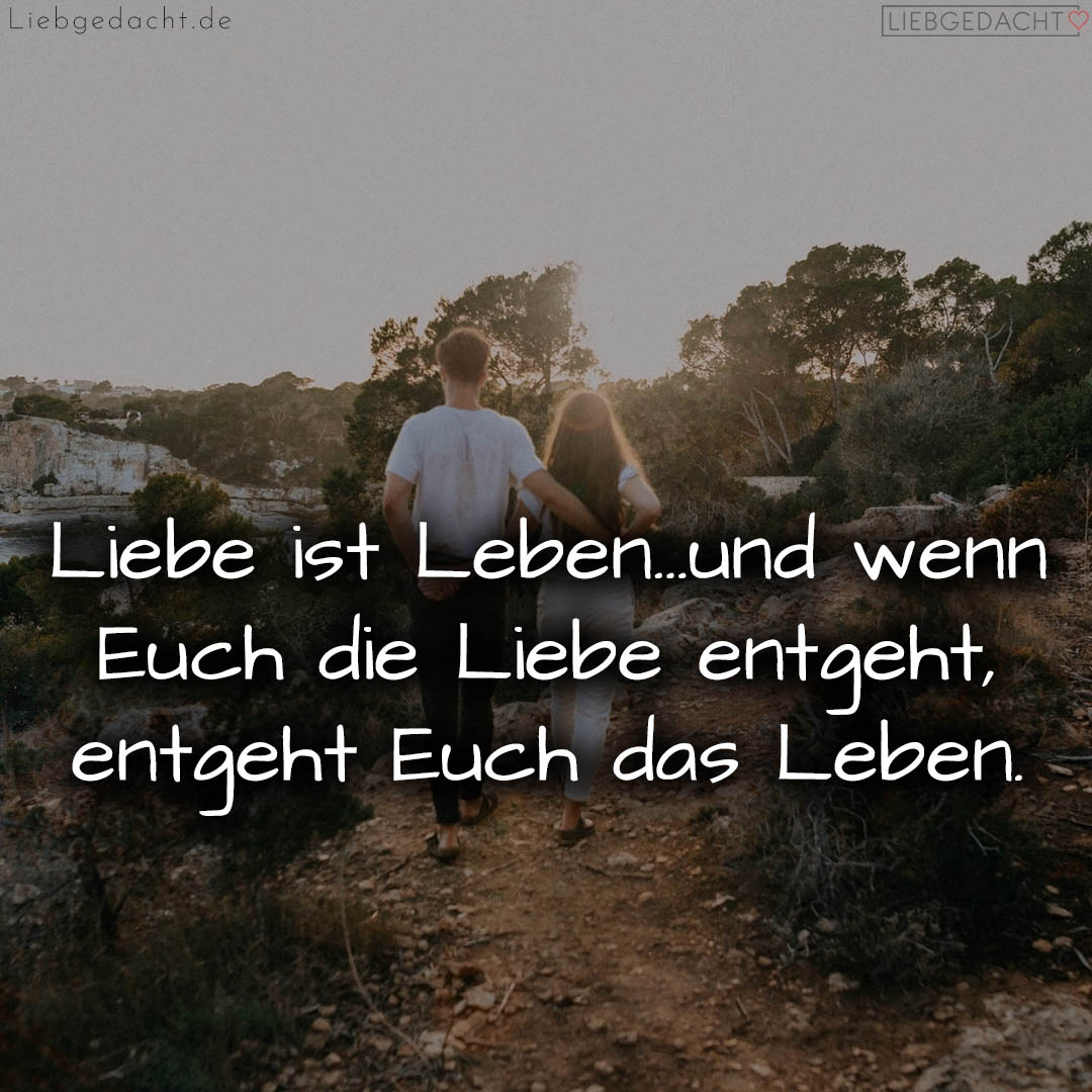 1716375937664dd181c54db