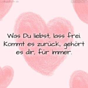 1716375954664dd1923a4c5